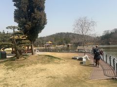 -南京银杏湖乐园