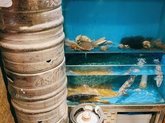 水产区-桂马·日本料理·海胆·海鲜饭·酒场(民主广场店)