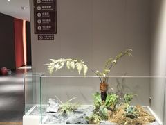 -即墨印象