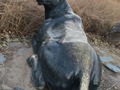 -马家湾湿地公园