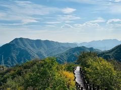 -大岭沟猕猴桃谷风景区