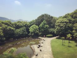 -东山游乐园
