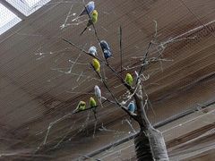 -南宫五洲植物乐园