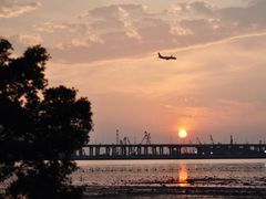 -宝安西湾红树林湿地公园