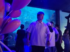 -海合安武汉极地海洋公园