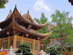 -上海东林寺(金山区)