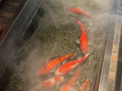 -0776食堂·京城创意菜(七里庄店)
