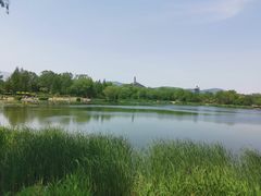 -北坞公园