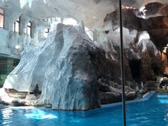 -帝企鹅自助餐厅•儿童岛•真企鹅(长隆企鹅酒店)