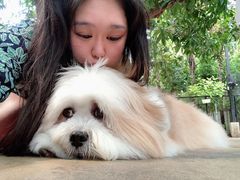 -TrueLove @ Neverland (Husky Cafe)
