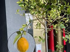 -Jap Jap Cafe(美院店)