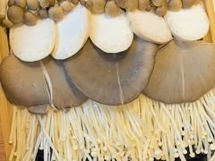 -蝎王府羊蝎子(西直门店)