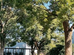 景观位-养云安缦吧THE BAR