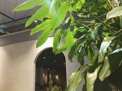 -GOTLOT COFFEE&KITCHEN角落厨房NOOK店