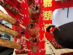 -和禄德冰糖葫芦