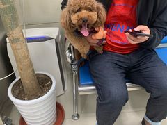 -申普宠物医院·眼科·心内科·影像科(普陀分院)