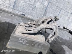 -侵华日军南京大屠杀遇难同胞纪念馆