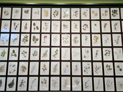 -药王庙(安国市)