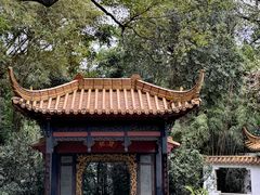-广州兰圃