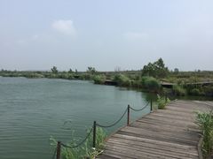 -北药泉