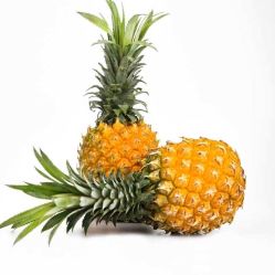 -私家美林护肤造型