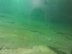 -白鹤梁水下博物馆