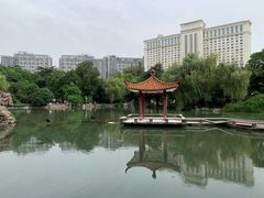 -西苑公园