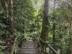 -乌鲁淡布隆国家公园