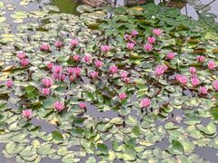 -国家植物园南园