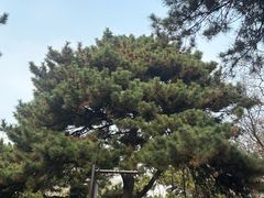 -北陵公园