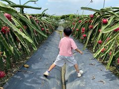 -尚果生态采摘园