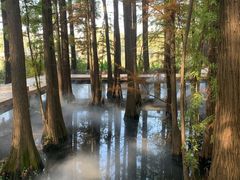-东湖落雁景区