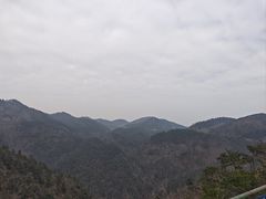 -四明山国家森林公园