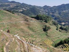 -紫鹊界梯田景区