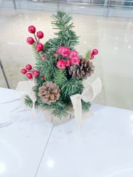 -MMbyHair Code芭曲发型
