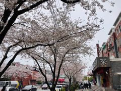 -永乐路-路侧停车场