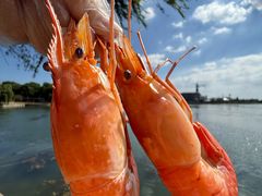 -蟹天蟹地农家菜·阳澄湖大闸蟹(浅水湾店)
