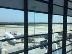 -虹桥机场国航贵宾室v8