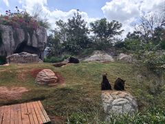 -海南热带野生动植物园