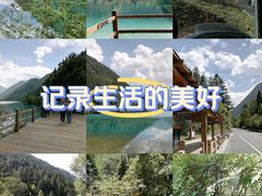 -九寨沟-树正沟