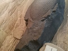 -白鹤梁水下博物馆