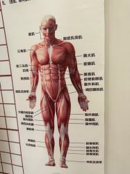 -亚太瑜伽普拉提学院