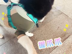-瑞虹新天地月亮湾