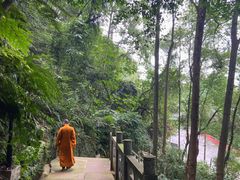 -乐山大佛风景名胜区乌尤寺南门-售票点