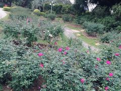 -人民公园(罗湖区)