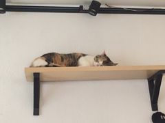 -隅cafe(傅厚岗店)