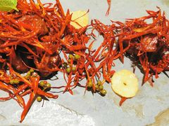 煎烹椒麻澳洲肉眼皇-广州文华东方酒店·江-由辉师傅主理