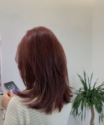 点击看大图 -HaLo hair studio
