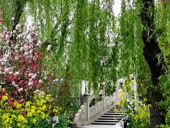 -南汇桃花村
