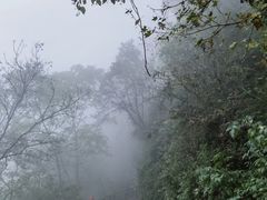 -少华山国家森林公园